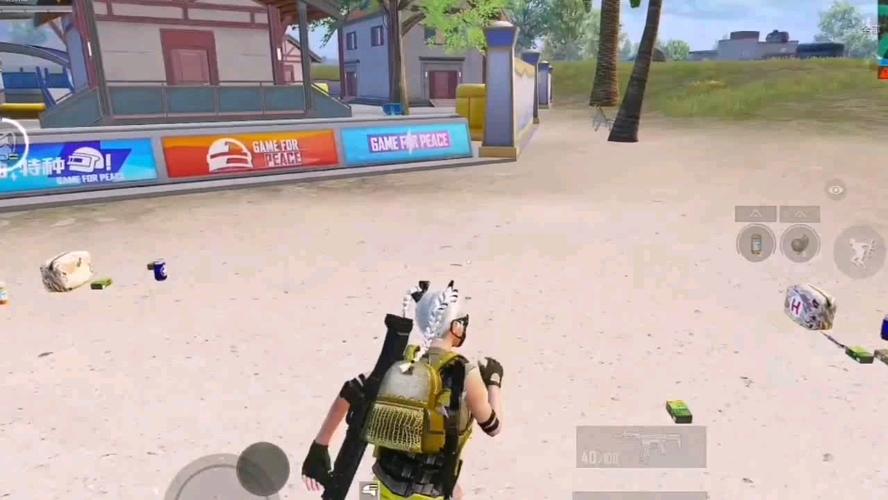 和平精英《魔法》辅助